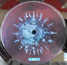 Load image into Gallery viewer, Atomizer : Wise Up (12")