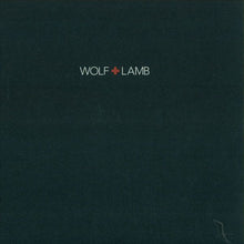 Load image into Gallery viewer, Lonely C + Baby Prince : Not So Lonely EP (12", EP)