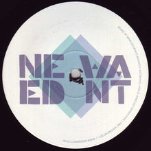 Load image into Gallery viewer, Mario Basanov : Lonely Days (12")