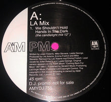 Load image into Gallery viewer, L.A. Mix : We Shouldn't Hold Hands In The Dark (12", Promo)