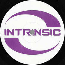 Load image into Gallery viewer, Amalgam : Insatiable Minds (12")