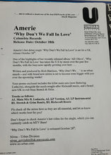 Load image into Gallery viewer, Amerie : Why Don't We Fall In Love (12", Promo)