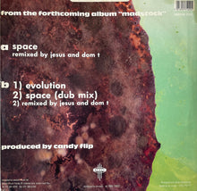 Load image into Gallery viewer, Candy Flip : Space (12")