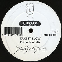 Load image into Gallery viewer, David Adams : Take It Slow (12", Promo)