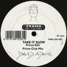 Load image into Gallery viewer, David Adams : Take It Slow (12", Promo)