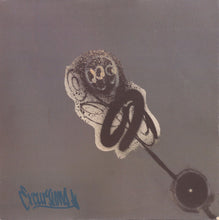 Load image into Gallery viewer, The Prunes : The Plot (12")