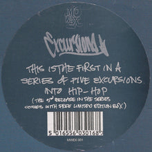 Load image into Gallery viewer, The Prunes : The Plot (12")