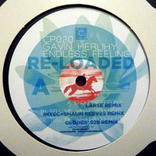 Load image into Gallery viewer, Gavin Herlihy : Endless Feeling - Re-Loaded (12")
