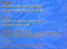 Load image into Gallery viewer, Waterlillies : Never Get Enough (12", Maxi)