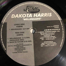 Load image into Gallery viewer, Dakota Harris : Wellengang (12")