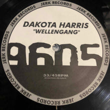 Load image into Gallery viewer, Dakota Harris : Wellengang (12")
