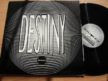 Load image into Gallery viewer, Snazzy : I'm Your Destiny (12")