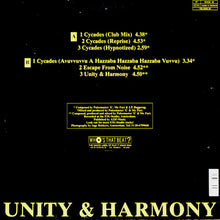 Load image into Gallery viewer, Sequencial : Cycades (12")