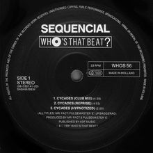 Load image into Gallery viewer, Sequencial : Cycades (12")