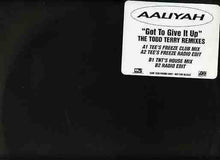 Load image into Gallery viewer, Aaliyah : Got To Give It Up (The Todd Terry Remixes) (12", Promo)