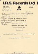 Load image into Gallery viewer, William Orbit : Fire And Mercy (12", Promo)