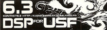 Load image into Gallery viewer, 6.3 : DSP For USF (12")