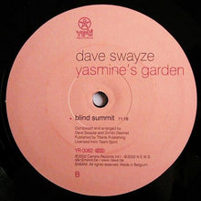 Load image into Gallery viewer, Dave Swayze : Yasmine's Garden (12")