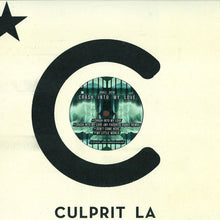 Load image into Gallery viewer, Shall Ocin : Crash Into My Love (12")