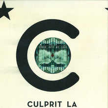 Load image into Gallery viewer, Shall Ocin : Crash Into My Love (12")