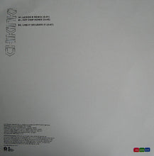Load image into Gallery viewer, Chikinki : Like It Or Leave It (12", Promo)