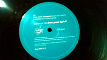 Load image into Gallery viewer, Aquamanda : Free Your Spirit (12")
