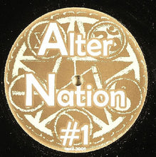 Load image into Gallery viewer, AlterNation* : Little Lies (12")