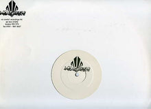 Load image into Gallery viewer, Riol Pleasure : Riol Life (12", Promo)