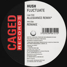 Load image into Gallery viewer, Hush : Fluctuate (12")