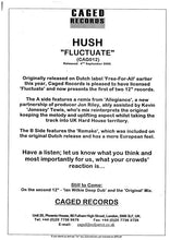 Load image into Gallery viewer, Hush : Fluctuate (12")