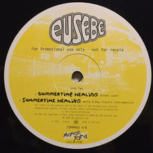 Load image into Gallery viewer, Eusebe : Summertime Healing (12", Promo)