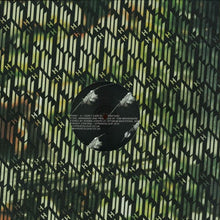 Load image into Gallery viewer, Eliphino : I Don't Care (12")