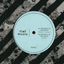 Load image into Gallery viewer, Prophets Of The South : Ek Maak Julle Dance/ (12")