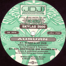 Load image into Gallery viewer, Skylab 2000 : Auburn (12")