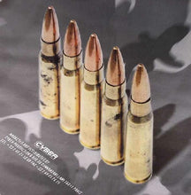 Load image into Gallery viewer, Stunk Of Punk : Superstitious (12")