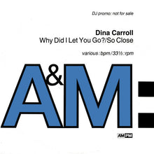 Load image into Gallery viewer, Dina Carroll : Why Did I Let You Go? / So Close (12", Promo)