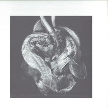 Load image into Gallery viewer, Hazylujah : How Can You Hide From What Never Goes Away? (12")