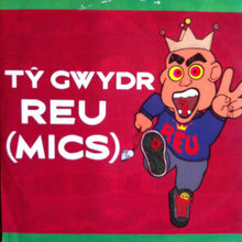 Load image into Gallery viewer, Tŷ Gwydr : Reu (12")