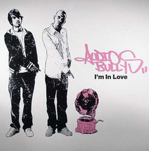 Load image into Gallery viewer, Audio Bullys : I'm In Love (12")