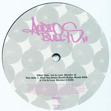 Load image into Gallery viewer, Audio Bullys : I'm In Love (12")