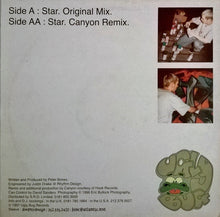 Load image into Gallery viewer, The Shaker : Star (12")