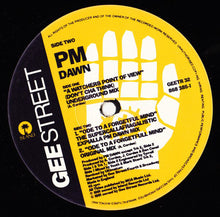 Load image into Gallery viewer, PM Dawn* : A Watcher's Point Of View (12", Single)