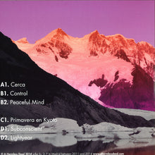 Load image into Gallery viewer, DJ F (4) : 1974 (2xLP)