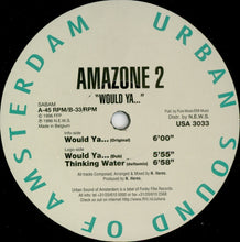 Load image into Gallery viewer, Amazone 2* : Would Ya... (12")