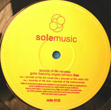 Load image into Gallery viewer, Guiro Featuring Angela Jones : Free (Remixes) (12")
