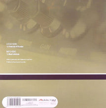 Load image into Gallery viewer, Gain Mode : Friends Of Bustar (12")