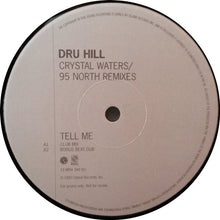 Load image into Gallery viewer, Dru Hill : Tell Me (95 North Remixes) (12", Promo)