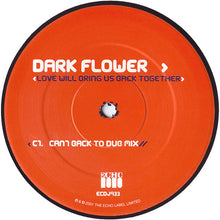 Load image into Gallery viewer, Dark Flower : Love Will Bring Us Back Together (2x12")