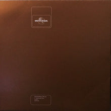 Load image into Gallery viewer, Structure Rize : Da Jonesez (12", Promo)