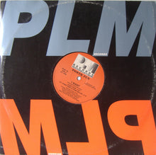Load image into Gallery viewer, Power Fun : I Want (12")